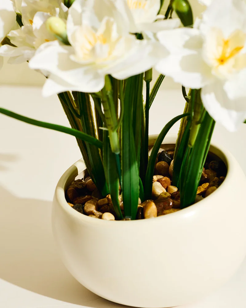 REDTAG White Artificial Daffodil in Ceramic Pot