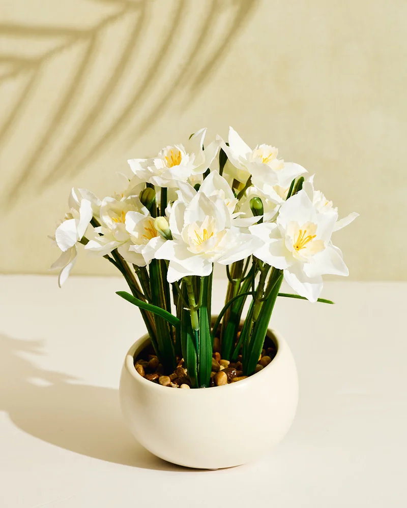 REDTAG White Artificial Daffodil in Ceramic Pot