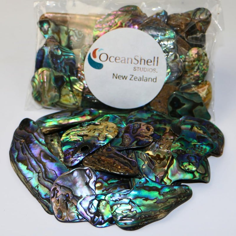 Abalone Pua Shell Pieces265oz Packfor Crafts Jewelry Making Resin Art Inlay Home Decorations Fishtank Supplies DIY Projects  Satin Medium Size 1 158 2540 mm 265oz 75grams