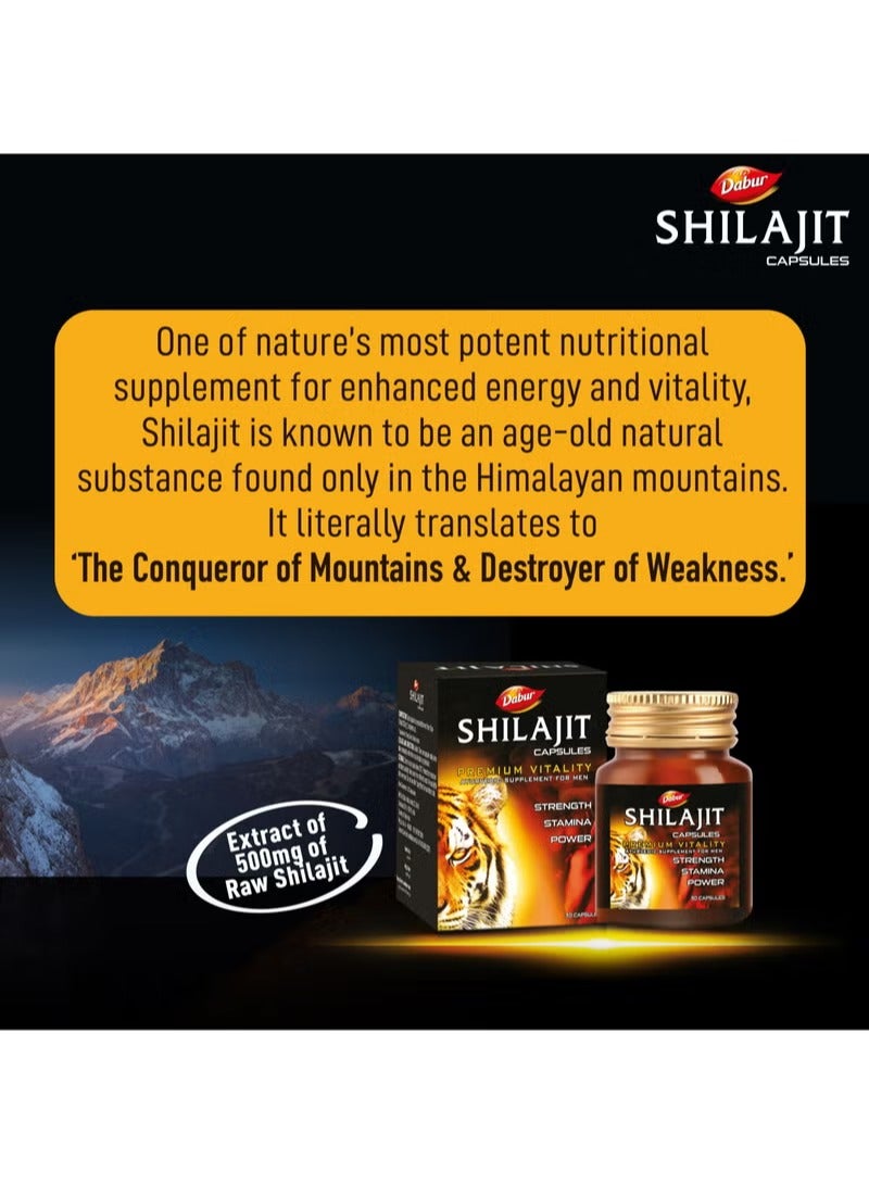 Dabur شيلجيت 30 كبسولة عبوة من 2 - Image 2