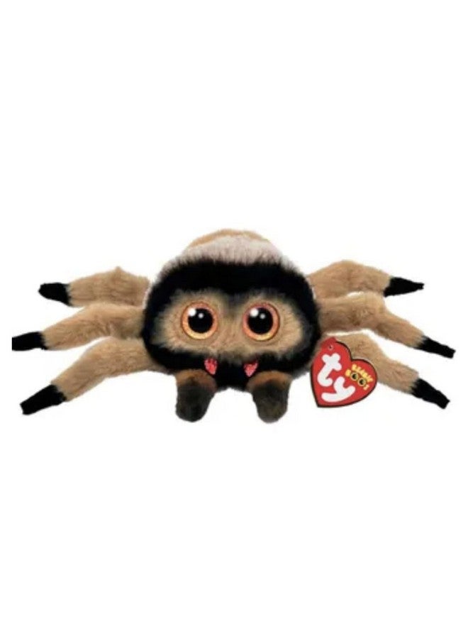 تي واي تاي بيني بو جودفري العنكبوت الأسود والبني - 6 بوصات