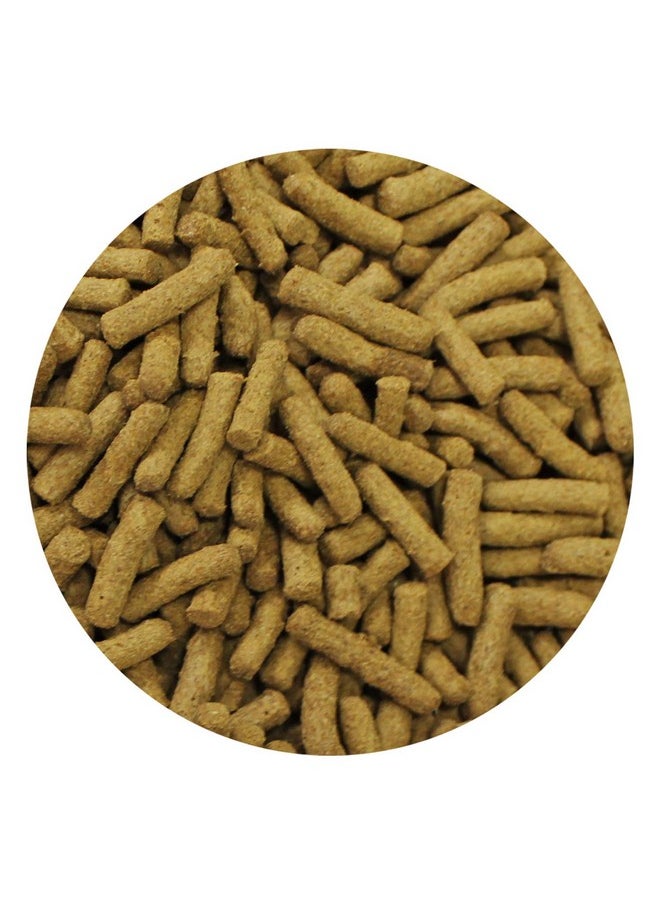 EXOTIC NUTRITION Premium Insectivore Diet (2.5 lb.) - Healthy Nutritious Chicken Based High Protein Pellet Diet - for Sugar Gliders, Hedgehogs, Opossums, Skunks & Other Insectivores  - Image 3