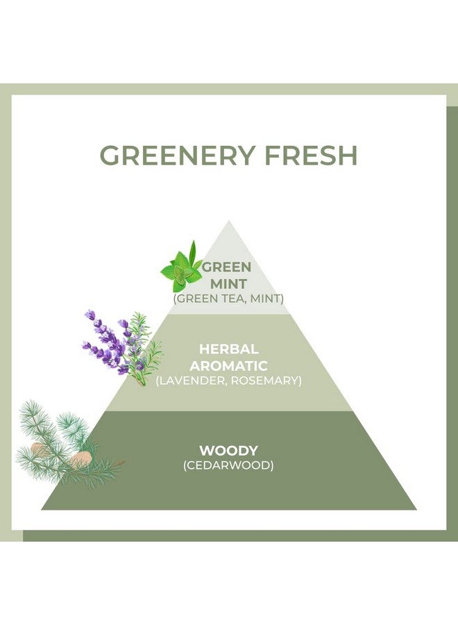 أموس بروفيشنال قناع الشعر المغذي بالشاي الأخضر الكوري من آموس بروفيشنال، ٨٫٤٥ أونصة (٢٥٠ مل) | علاج ترطيب عميق لنمو الشعر وترطيبه - Image 5