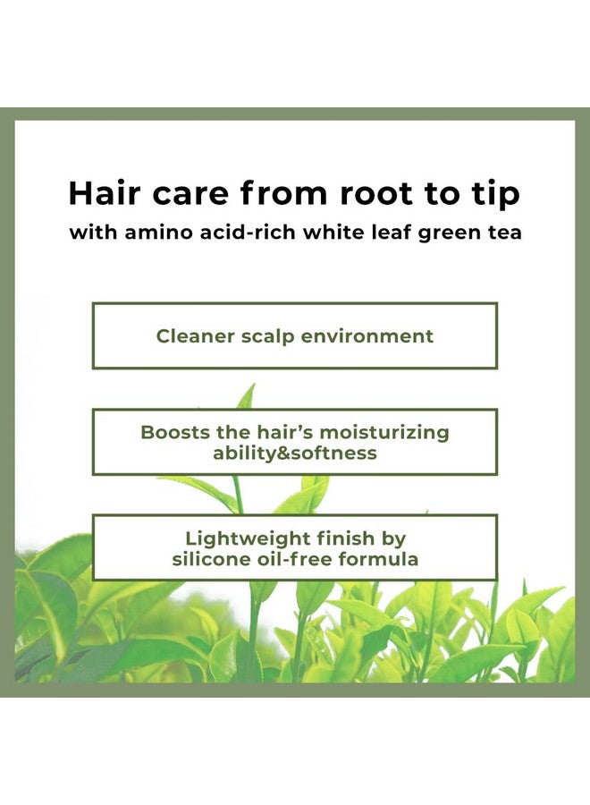 أموس بروفيشنال قناع الشعر المغذي بالشاي الأخضر الكوري من آموس بروفيشنال، ٨٫٤٥ أونصة (٢٥٠ مل) | علاج ترطيب عميق لنمو الشعر وترطيبه - Image 3