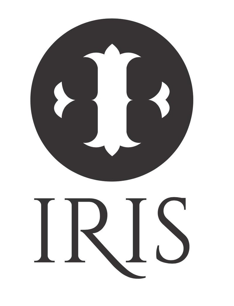 Iris Cosmetics Iris Luminous HD Makeup Brush – Eyebrow & Lip Brush for Precision, Versatile Professional Cosmetic Tool, Rose Gold Finish, Expert Application - Image 4