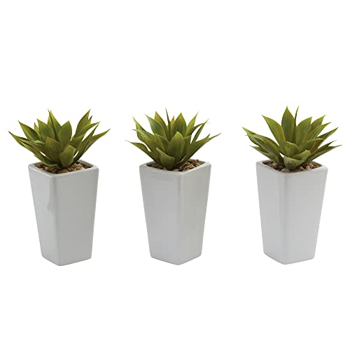 Nearly Natural Mini Agave with Planter (Set of 3) White - Image 4