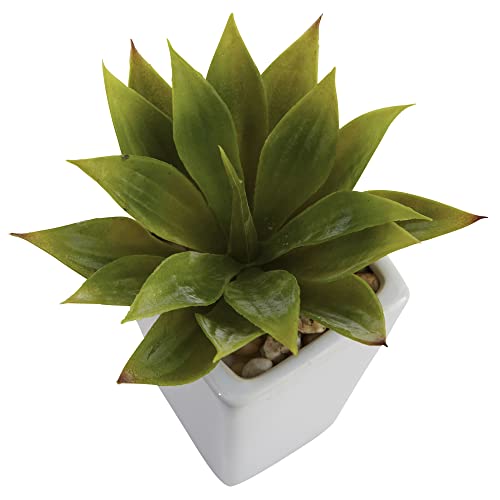 Nearly Natural Mini Agave with Planter (Set of 3) White - Image 3