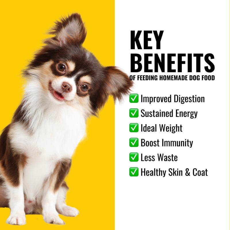 Azestfor Homemade Dog Food Supplement Dog Vitamins Made in USA Add to Holistic Whole Food Diets Raw BARF All Breeds Puppy Adult 16oz Powder - Image 2