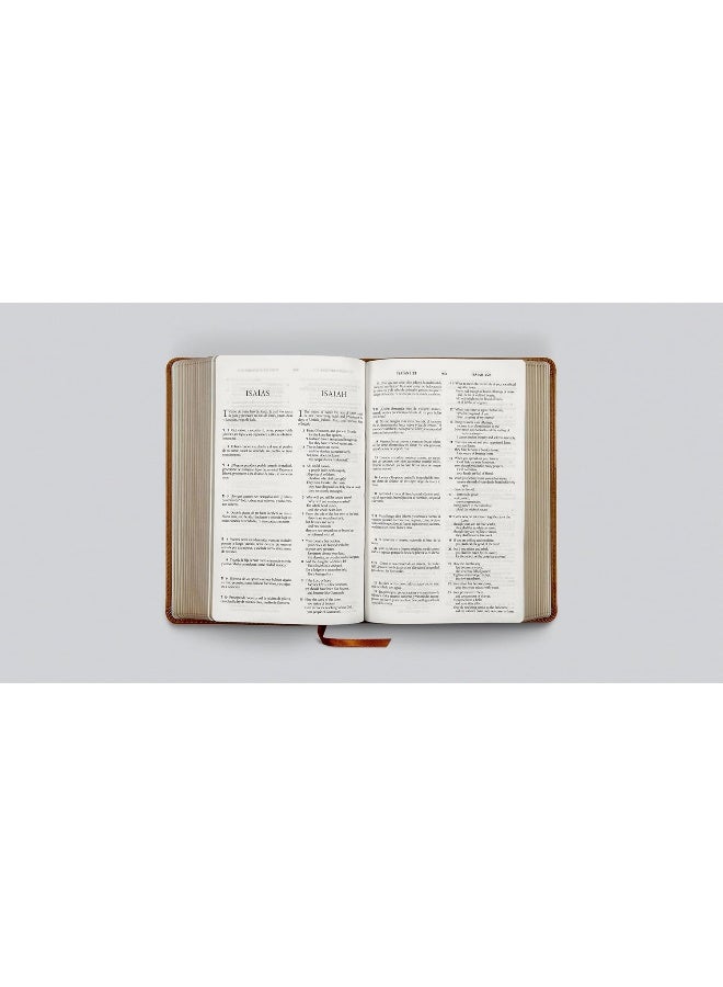 ESV Spanish/English Parallel Bible (La Santa Bibli - Image 3