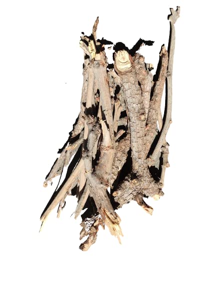 RUKDA Havan Samidha Havan Kund Sticks Palas ki Lakdi Hawan Wood Palash Wood for Havan - 250 gm - Image 1
