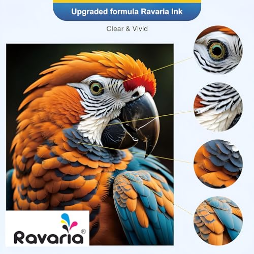 Ravaria BT-D60BK / BT6000 and BT5000CMY Compatible Ink for Brother Printer T220, T420, T520, T820, T920, T510, T910, T710, T4000W, T4500W, T300W, T800W (BT-D60BK / BT6000 and BT5000C 4 Color Set) - Image 5