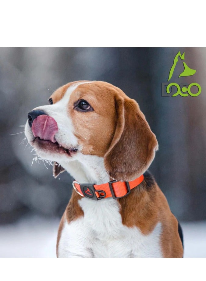 DOCO® Dog Collar, Adjustable Nylon Collar, Suitable for Small Medium Large Dogs (X-Large-Turquoise)(3.8 x 51 x 78cm) - Image 3