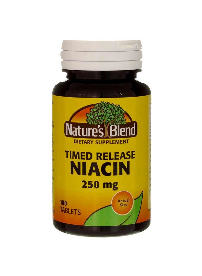 Nature's Blend Niacin Timed Release 250 mg 250 mg 100 Tabs - Image 1