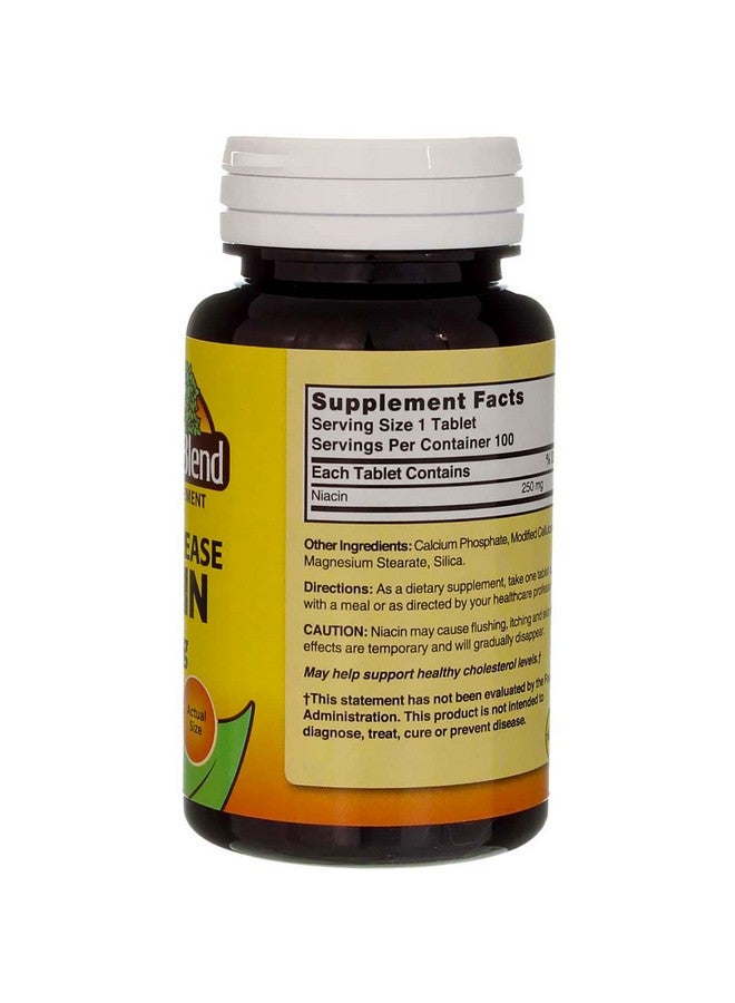 Nature's Blend Niacin Timed Release 250 mg 250 mg 100 Tabs - Image 5