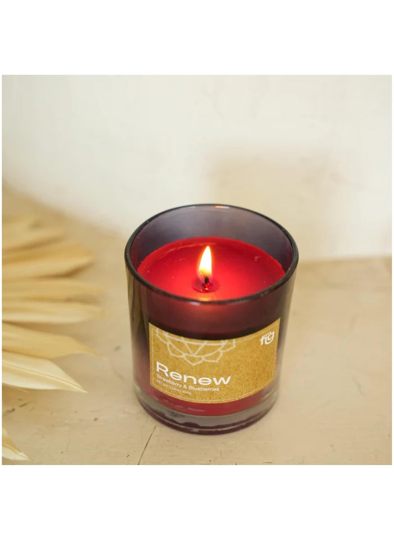 FIG FIG Living Renew Berries Scented Candle Red Vegan Natural Fruity Aromatic Fragrance Aromatherapy Home Decor Palm Wax Glass Jar Pack of 1 
