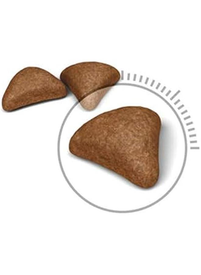 رويال كانين هيربول كير طعام جاف للقطط البالغة 4 كجم - Image 2