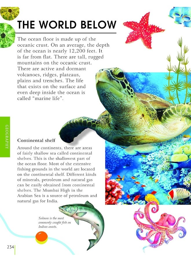 null - Big Book of Knowledge - Image 1