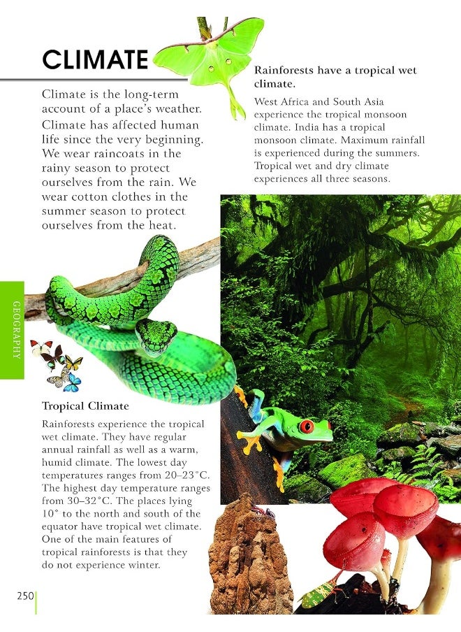 null - Big Book of Knowledge - Image 1