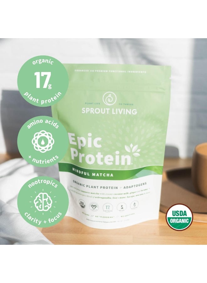 Sprout Living Organic Plant Protein Matcha Nootropics  - Image 4