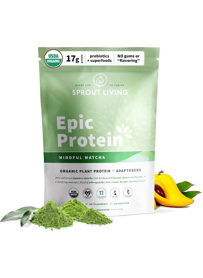 Sprout Living Organic Plant Protein Matcha Nootropics  - Image 1