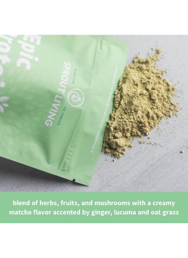 Sprout Living Organic Plant Protein Matcha Nootropics  - Image 5