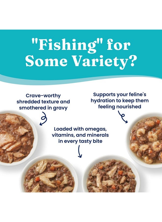 Solid Gold Five Oceans Wet Cat Food Variety Pack - Seafood - Canned Cat Food, 12 Pack - Image 3