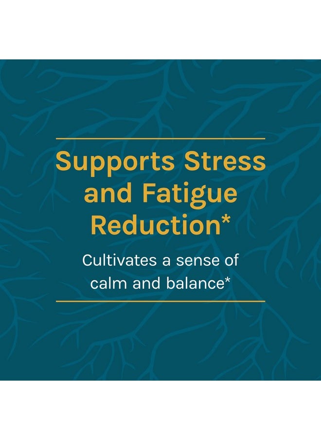 Cordychi Capsules Support Stress And Fatigue Reduction Mushroom Mycelium Supplement With Cordyceps And Reishi Unflavored 30 Count Pack Of 1