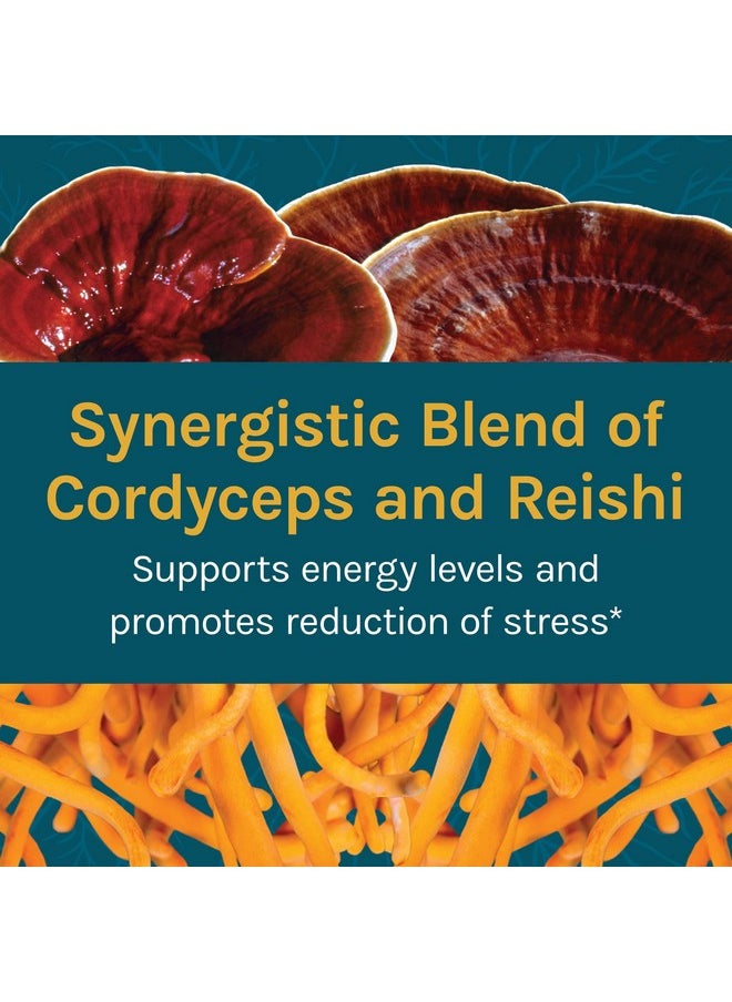 Cordychi Capsules Support Stress And Fatigue Reduction Mushroom Mycelium Supplement With Cordyceps And Reishi Unflavored 30 Count Pack Of 1
