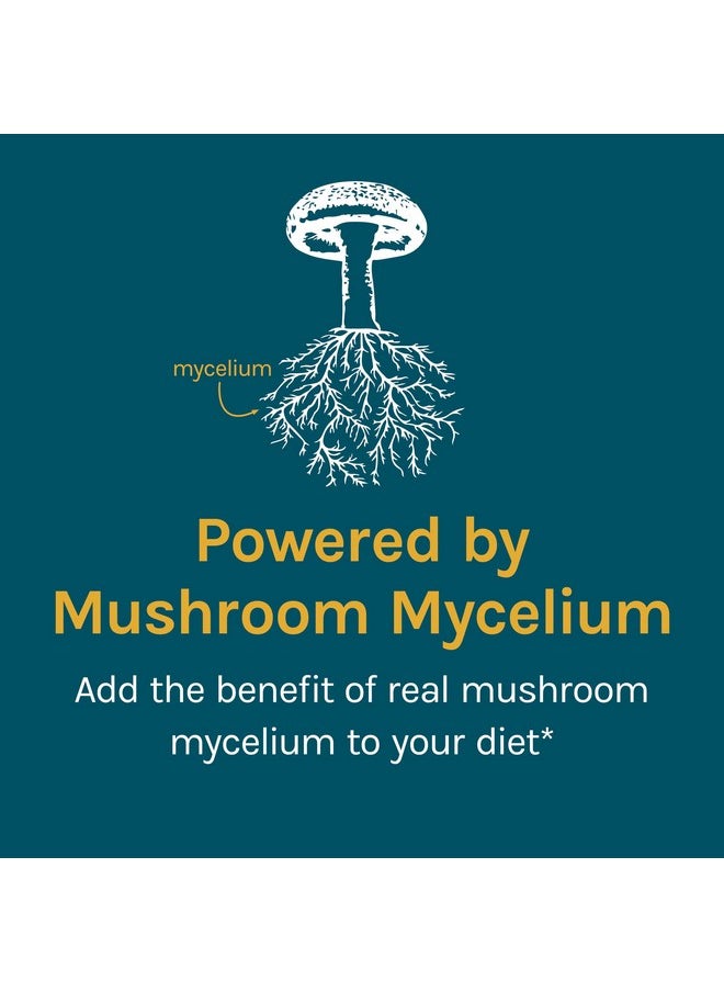 Cordychi Capsules Support Stress And Fatigue Reduction Mushroom Mycelium Supplement With Cordyceps And Reishi Unflavored 30 Count Pack Of 1