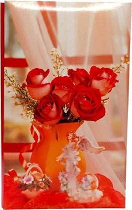Natraj Slip in Photo Album with 0.6mm Thick Extra Clear PVC Film, 204 Pocket, (Photo Size Supported: 4'x6') Album (Photo Size Supported: 4X6) - Image 5