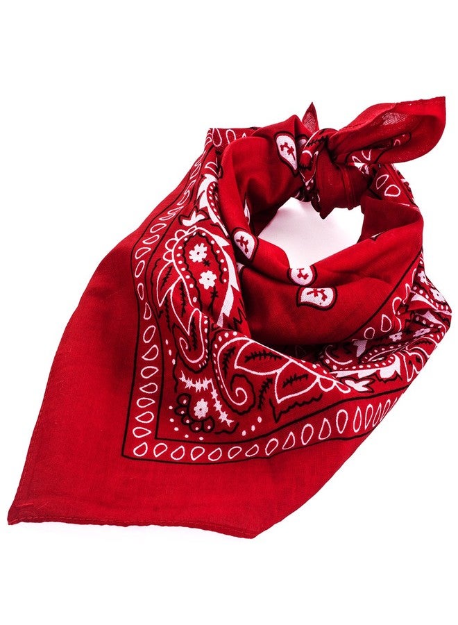 Tigerdoe Bandanas for Men & Women, Paisley Bandanas, Bandanas for Face Mask, 4 Pack, 100% Cotton Bandanna by Tigerdoe - Image 5