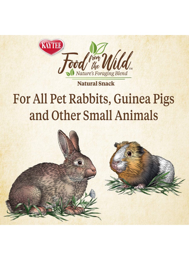 Kaytee Food from The Wild Natural Snack for Pet Rabbits, Guinea Pigs And Other Small Animals, 1 Ounce - pzsku/Z0849882733454C3F2F59Z/45/_/1731078129/807cdbf9-370c-4505-893a-a933babf639a