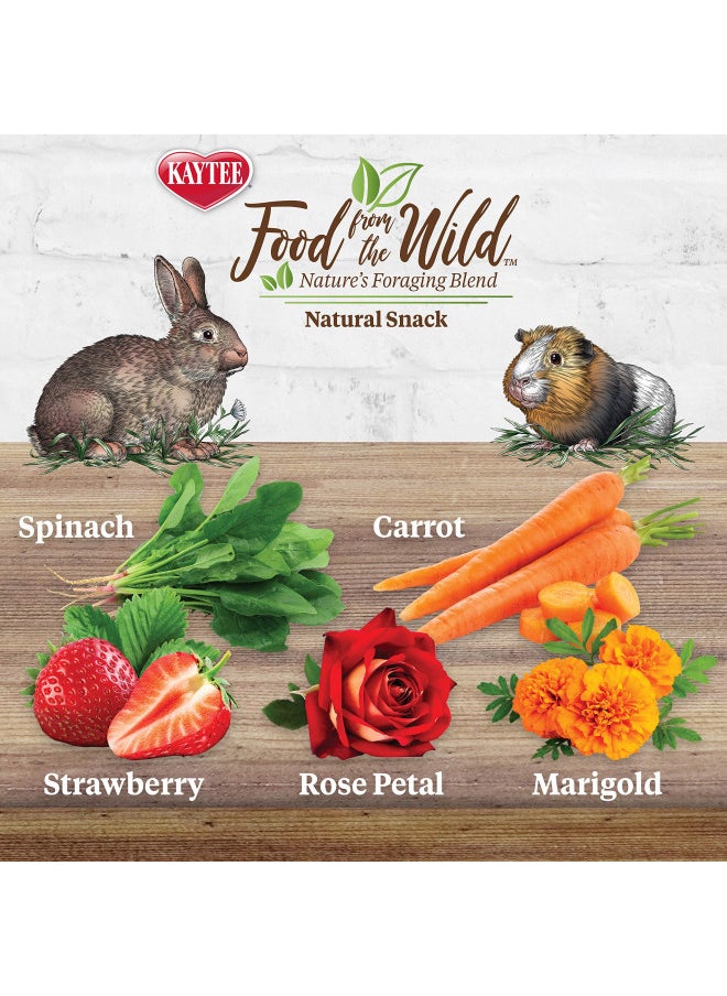 Kaytee Food from The Wild Natural Snack for Pet Rabbits, Guinea Pigs And Other Small Animals, 1 Ounce - pzsku/Z0849882733454C3F2F59Z/45/_/1731078135/f111abb0-2e50-4b5f-a8df-6127a47674ee