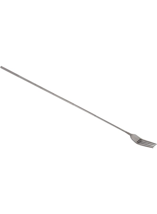 Telescopic Fork, Extendable Long Cutlery Forks Stainless Steel Fruit Dessert Toasting Fork for Eating Extends to 25inch 1pcs  - Image 3