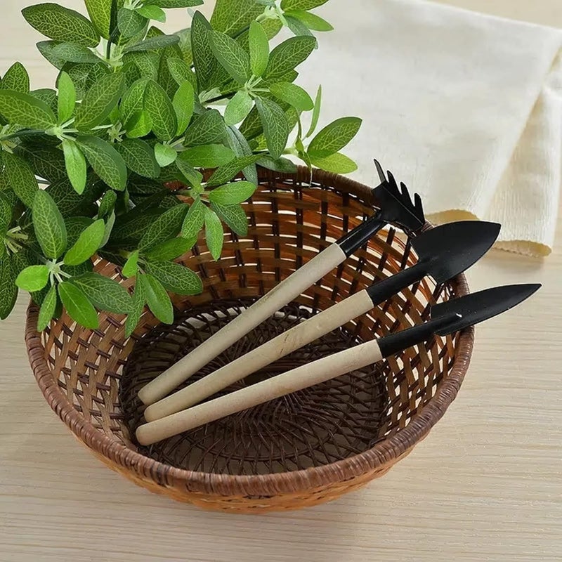 Typutomi Mini Garden Tool Set of 3, Indoor Hand Planting Tools Small Spade Rake Succulent Soil Tools for Transplanting Seedlings, Vegetable Seedlings - Image 5