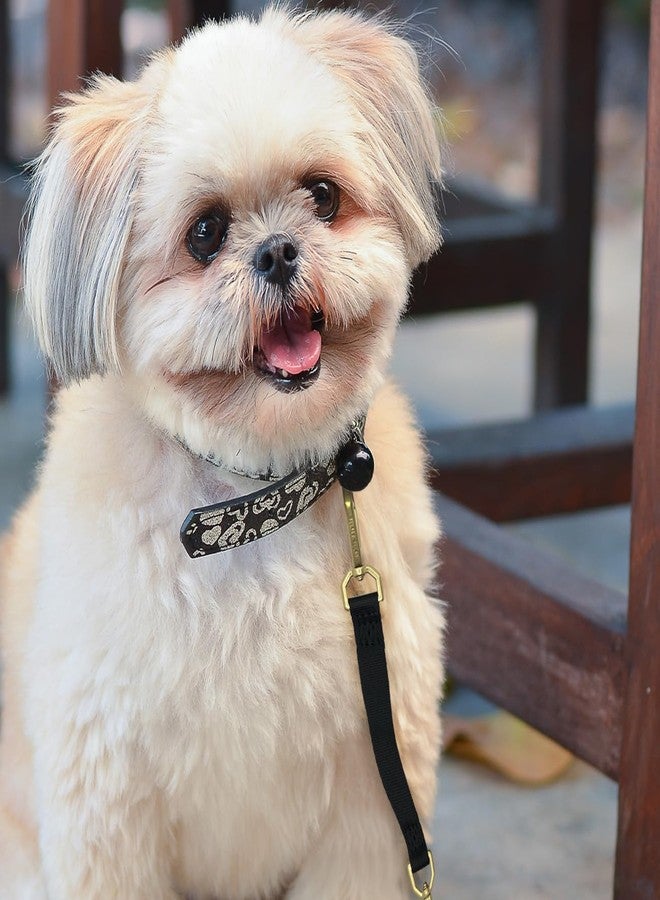 Della Stella Heavy Duty Double Ended Collar Backup Clip for Dog Harnesses, Lockable Safety Clip for Prong Collar with Gentle Nylon Webbing - Image 5