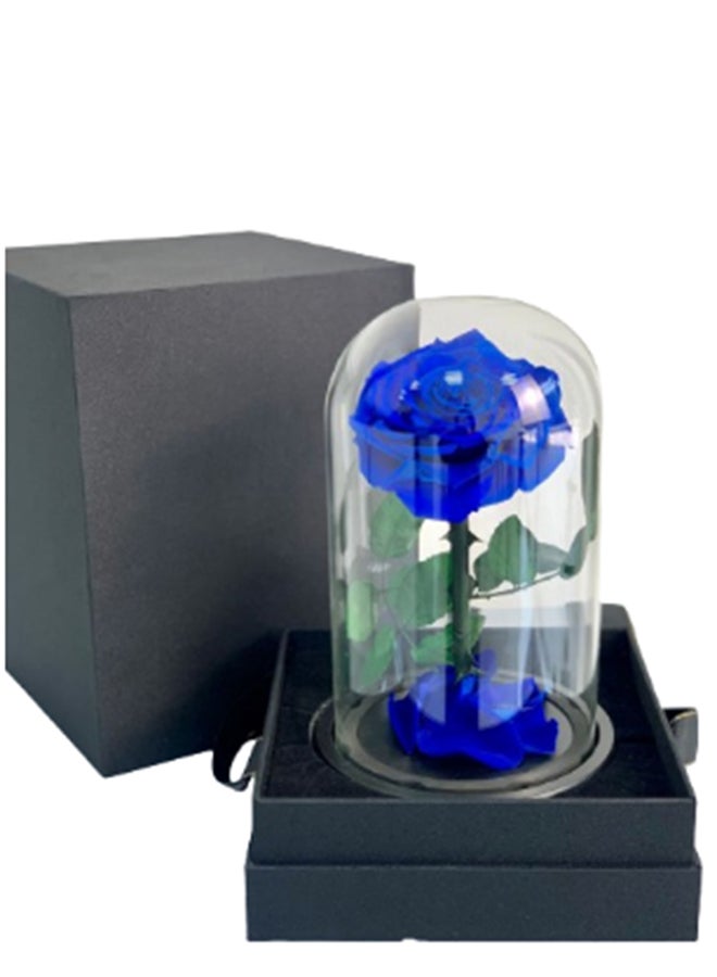 wardi Special Blue Infinity Rose In A Box