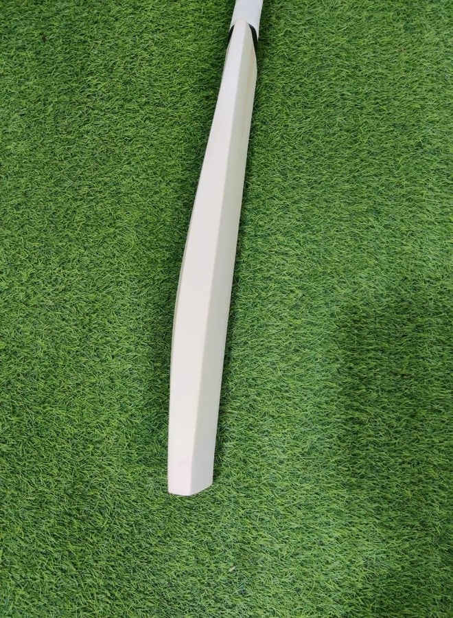 تبلد مضرب كريكيت من خشب الصفصاف الإنجليزي العادي من SAG، مقاس 6، مضرب جلدي مقاس 6 - Image 3