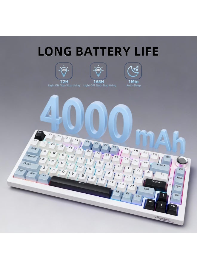 XiaoGiqi XiaoGiqi 75 Hot Swappable Mechanical Keyboard