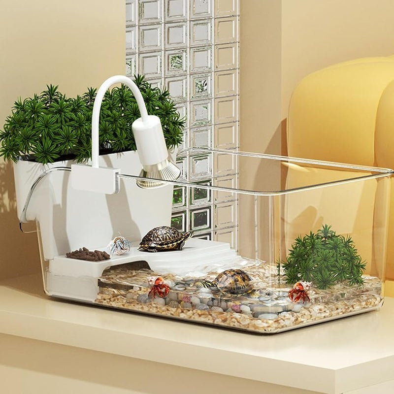 طقم حوض السلاحف الأكريليكي موطن شفاف صغير لسلحفاة الحيوانات الأليفة وسرطان البحر - Image 4