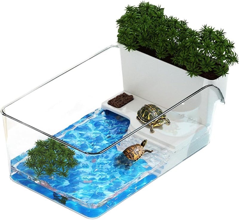 طقم حوض السلاحف الأكريليكي موطن شفاف صغير لسلحفاة الحيوانات الأليفة وسرطان البحر - Image 1