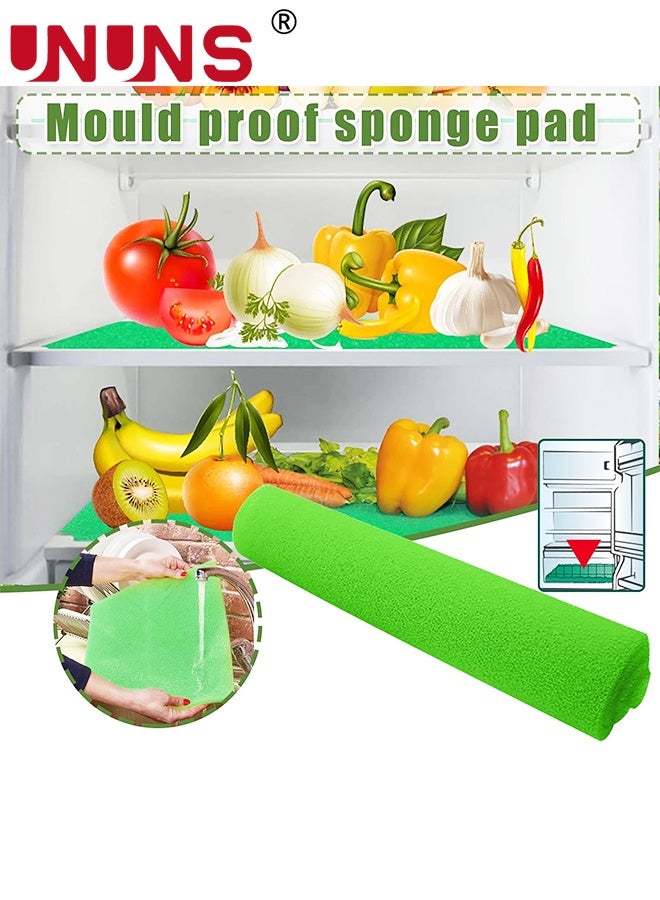 UNUNS Refrigerator Liner,20PcsFridge Drawer Liners,Refrigerator Sponge,Non Slip Absorbent,Foam Mats for Fruits Vegetables Life Extender Refrigerator Shelf,380*300*3mm,Green - Image 4