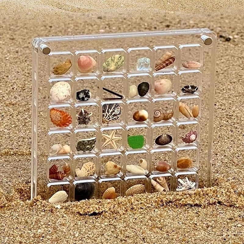 Square 100 Grid Acrylic Magnetic Display Box For Seashells Jewelry And Small Items Storage Organizer - Image 3