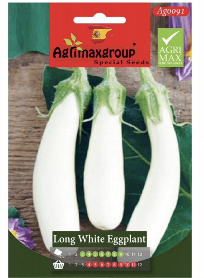 أجريماكس بذور الباذنجان الأبيض الطويلة عالية الجودة من Agrimaxgroup®