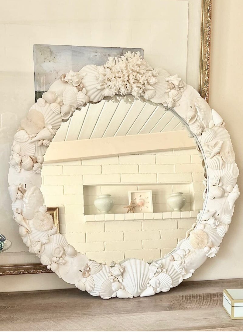 Barakah Small Tiny Sea Shells White Clam Bulk Natural Seashell for DIY Craft Home Decor Vase Fillers, 100Pcs - Image 2