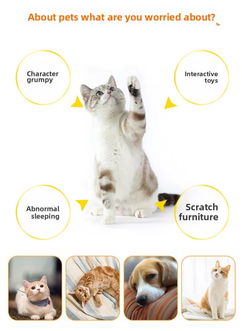 Goolsky Hot Sale! Colorful Rolling Bell Ball for Cats - Self - entertaining, Teeth - grinding and Boredom - relieving Gadget for Kittens - Image 3