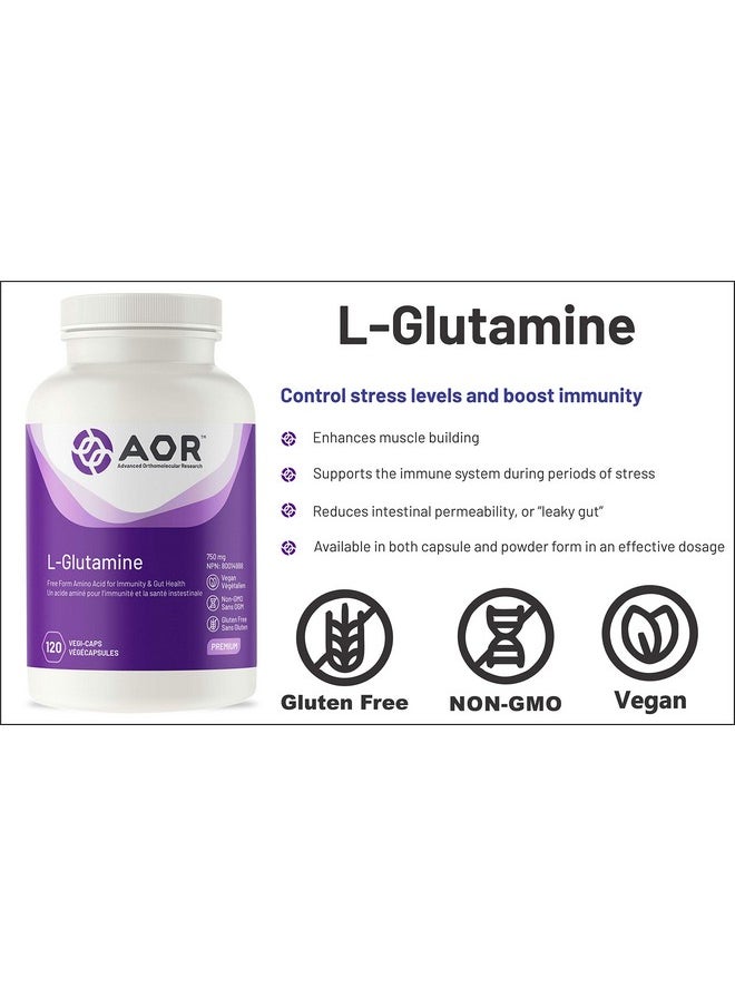 L Glutamine Caps 120 Ct - pzsku/Z0854B38A9454D1C38E08Z/45/_/1698053550/76fd6117-5382-492c-9287-31ee69acb495