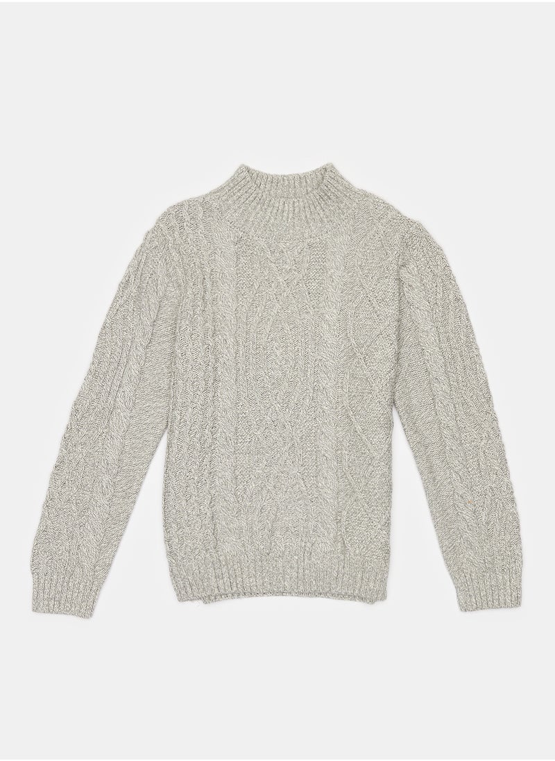 Grey Sweater for Boys - pzsku/Z0854F8807A0D1EA72196Z/45/_/1724355690/aeb384c0-c44a-44c3-a797-bb5bc1390606