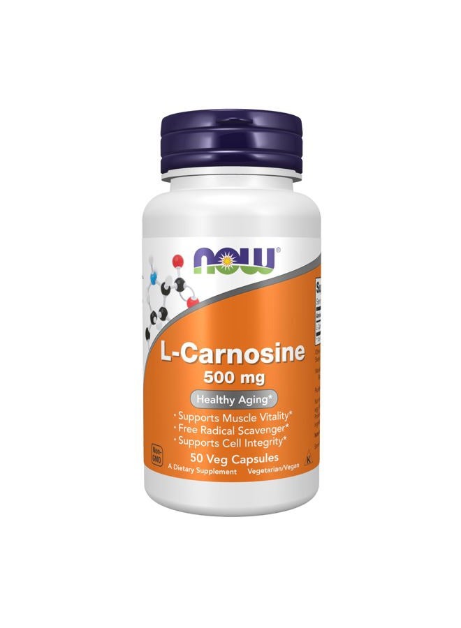 now مكملات، L-كارنوزين (بيتا-ألانيل-ل-هيستيدين) 500 ملغ، شيخوخة صحية، 50 كبسولة نباتية - Image 1