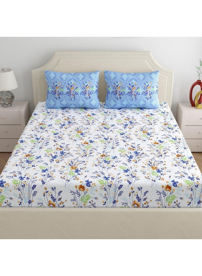 Home Ecstasy شراشف سرير كينج من هوم إكستاسي 100% قطن مع 2 غطاء وسادة - (الحجم 100 × 108 بوصة، 300 TC، اللون - أزرق) - Image 2